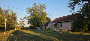 thumb_3631260_image_689cce2e501b7c7a892ca1bf.jpg