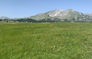 thumb_3632051_prodajem-plac-zabljak--2-.jpg