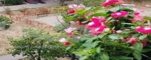 thumb_3632735_2.jpg