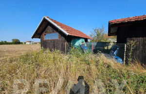 thumb_3632868_23.jpg