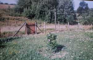 thumb_3632960_20250820_140942.jpgdudovicarr.jpg
