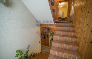 thumb_3633449_4.jpg