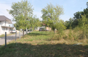 thumb_3634865_img_0481_800x533.jpg