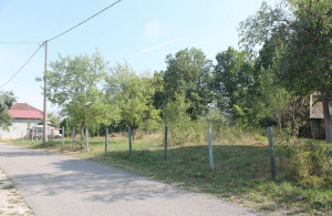 thumb_3634865_img_0486_800x533.jpg