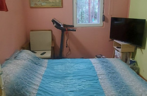 thumb_3634926_img-107c1a65b7e0737dc5b2ded3ece123cc-v.jpg