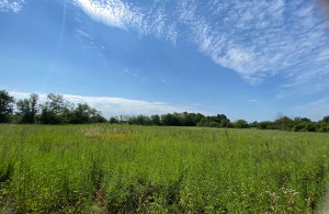 thumb_3635382_img_9102.jpg