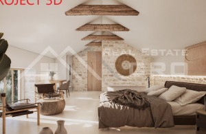 thumb_3635427__with_a_renovation_project_for_a_luxury_villa_for_sale_2.jpg