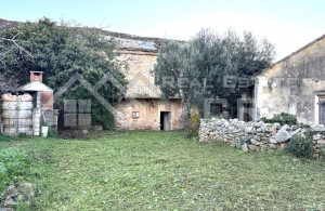 thumb_3635427__with_a_renovation_project_for_a_luxury_villa_for_sale_8.jpg