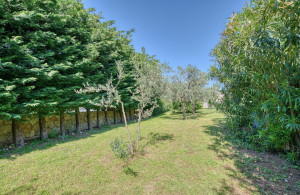 thumb_3636265_dus_9112_hdr.jpg