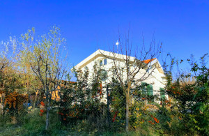 thumb_3636286_1.jpg
