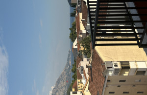 thumb_3636289_img_1777.jpeg