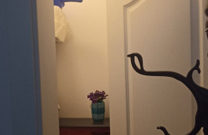 thumb_3636661_ostava.jpg