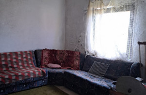 thumb_3636788_20250824_152008.jpgoljavisr.jpg