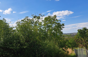 thumb_3636788_20250824_152504.jpgoljavisr.jpg