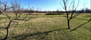 thumb_3637486_img_9907.jpeg