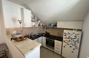 thumb_3637563_v10.jpg