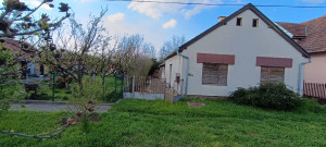 thumb_3637566_1.jpg