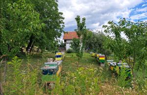 thumb_3637670_slika1.jpg