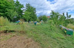 thumb_3637670_slika3.jpg