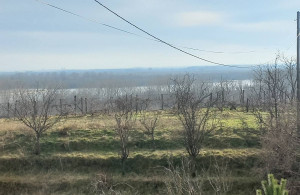 thumb_3638351_0.jpg