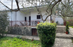 thumb_3638537_croatia-brac-stone-house-garden-parking-sale-101-.jpg