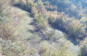 thumb_3639166_10.jpg