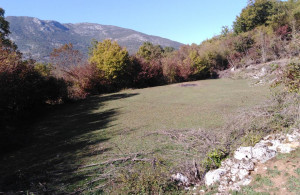 thumb_3639166_3.jpg