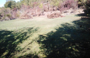 thumb_3639166_4.jpg
