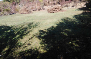 thumb_3639166_5.jpg