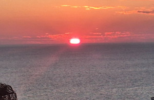 thumb_3639180_screenshot_20250828_133030_gallery.jpg