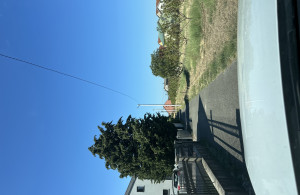 thumb_3639286_img_0062.jpeg