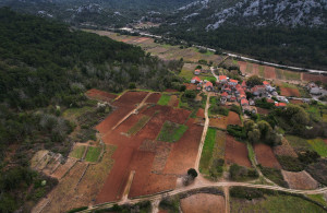 thumb_3640232_dji_0883-hd.jpg