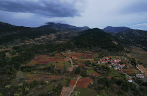 thumb_3640232_dji_0892-hd.jpg