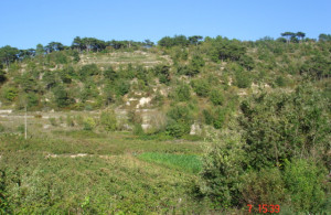 thumb_3640232_zupanje-selo-2.jpg