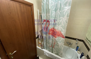 thumb_3641167_10.jpg