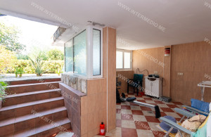 thumb_3641684_img_2571.jpg