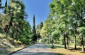 thumb_3641935_brdoljubovic.jpg