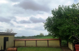 thumb_3641999_11.jpg