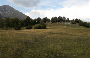thumb_3642044_pasina-voda-zabljak-piljevci--2.8-.jpg