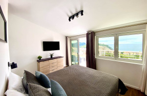 thumb_3642186_10-sova-petrovac.jpg