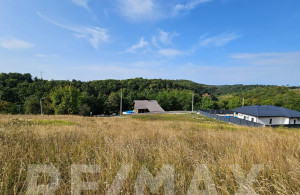 thumb_3642207_11.jpg