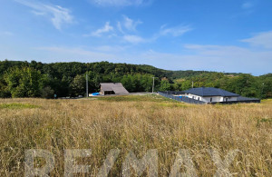 thumb_3642207_8.jpg