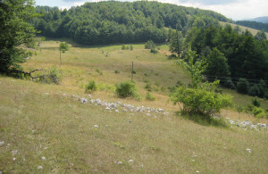 thumb_3642300_img_5417.jpg