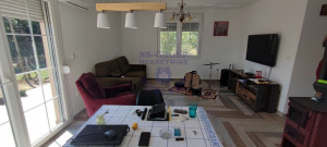 thumb_3642513_4.jpg