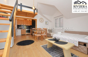 thumb_3643782_i_ads_ad_djenovici_hereg_novi_studio_stan_apartment_-17-.jpg