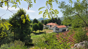 thumb_3643884_img-20250829-wa0001.jpg