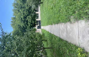 thumb_3644553_img_3394.jpeg