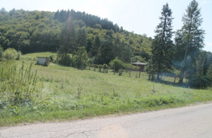 thumb_3644613_img_0495_800x533.jpg