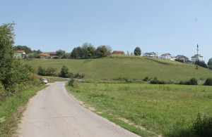 thumb_3644613_img_0500_800x533.jpg
