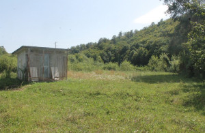 thumb_3644613_img_0501_800x533.jpg